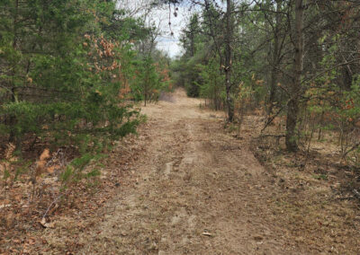 A dirt trail winds through a forest with green and brown trees on both sides, under a cloudy sky. Fallen leaves and pine needles cover the ground along the path.