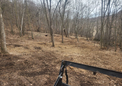 A clearing in a forest with leafless trees on a slope, the ground covered with brown mulch and dry grass. Part of a black metal fence or machinery is visible in the foreground.
