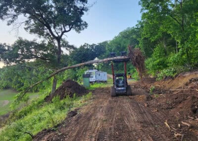 A small excavator lifts a large uprooted tree in a clearing surrounded by green trees. The ground is muddy with visible tracks, and a white trailer sits in the background under a blue sky.