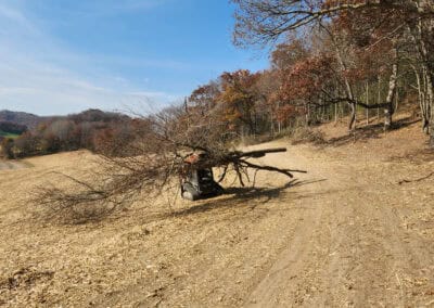 A large tree has fallen across a dirt path in a rural, open field with scattered autumn trees; a black vehicle is trapped underneath the fallen tree. Blue sky with some clouds is visible.