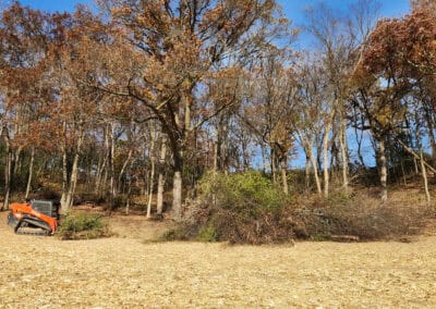 A small orange skid steer loader is parked near piles of cut branches and brush at the edge of a clearing. Tall trees with autumn leaves surround the area under a clear blue sky.