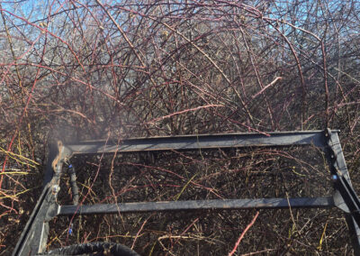 View from a tractor or brush cutter facing dense, tangled, leafless brambles and thorny branches under a clear blue sky. Hydraulic hoses and part of a metal attachment are visible in the foreground.