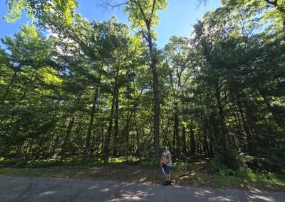 A person stands on the side of a paved road next to a lush, green forest under a bright blue sky. Sunlight filters through tall trees.