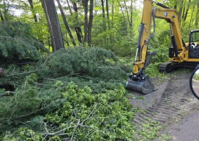 A yellow excavator is parked on a dirt path in a forest, beside freshly cut tree branches and green leaves scattered on the ground.