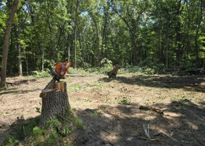 A chainsaw sits on a tree stump in a clearing within a forest. The ground is covered with dirt and scattered branches, with cut trees and dense green foliage in the background.
