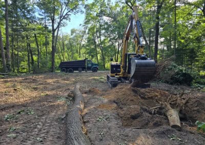 A yellow excavator moves soil and uprooted trees in a forest clearing, while a dump truck is parked in the background. Sunlight filters through the tall green trees surrounding the cleared area.