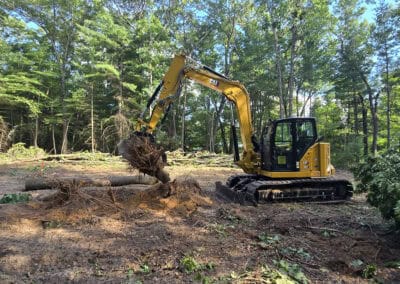 A yellow excavator lifts a tree stump and dirt in a forest clearing, surrounded by fallen trees and green foliage on a sunny day.